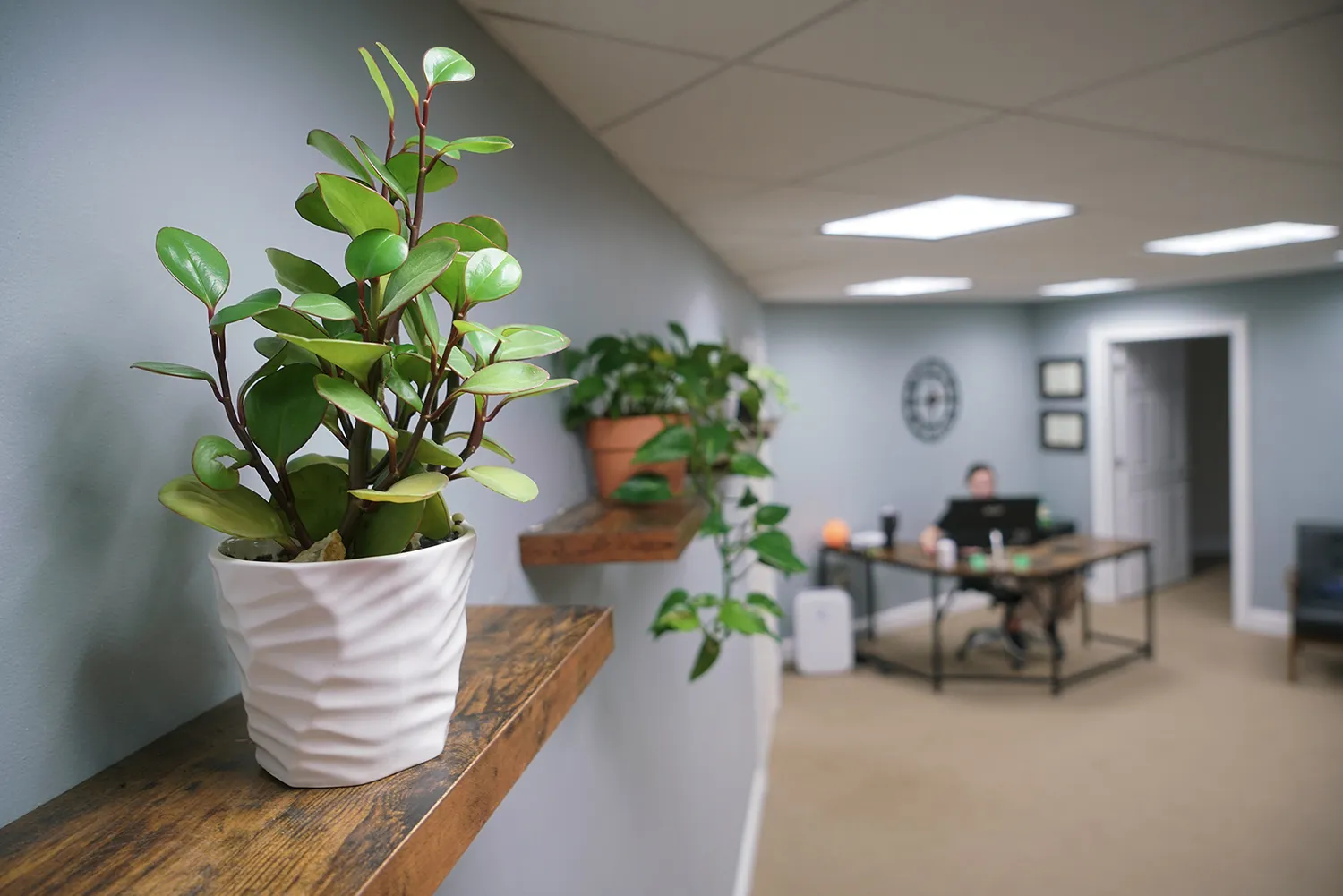 chiropractor adjustments back pain langhorne pa